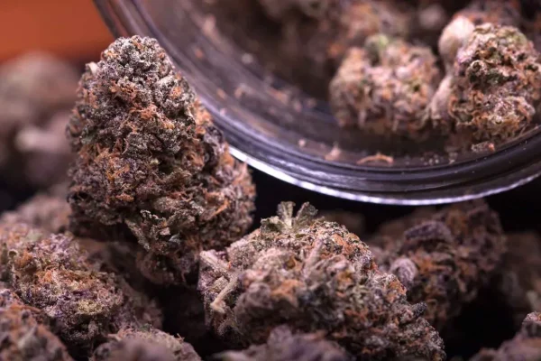 pgr-cannabis-1160x773
