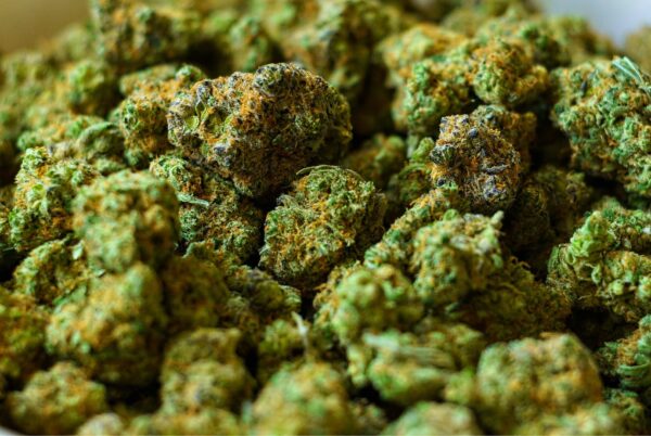 Silver Haze